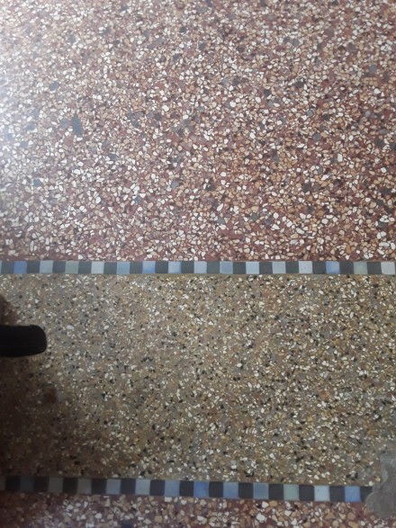 TERRAZZO ST CAST.jpg